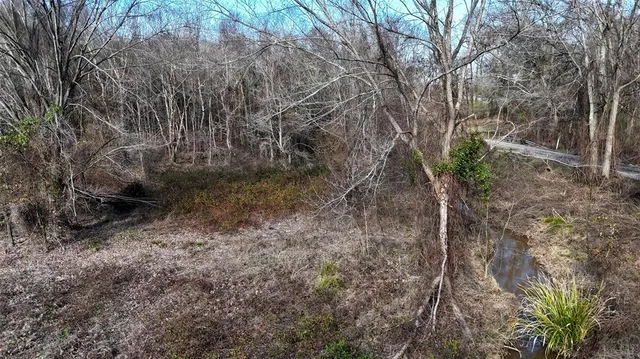 a view of a yard with plants and trees