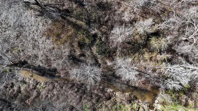 a view of a covered with green space