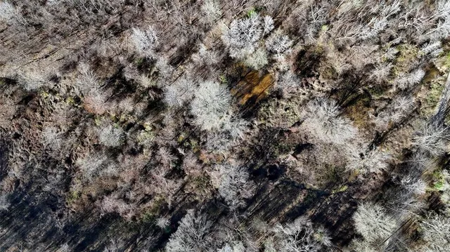 a view of a covered with green field