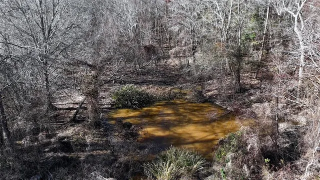 a view of a yard with trees