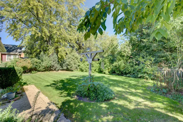 a big yard with lots of green space and trees