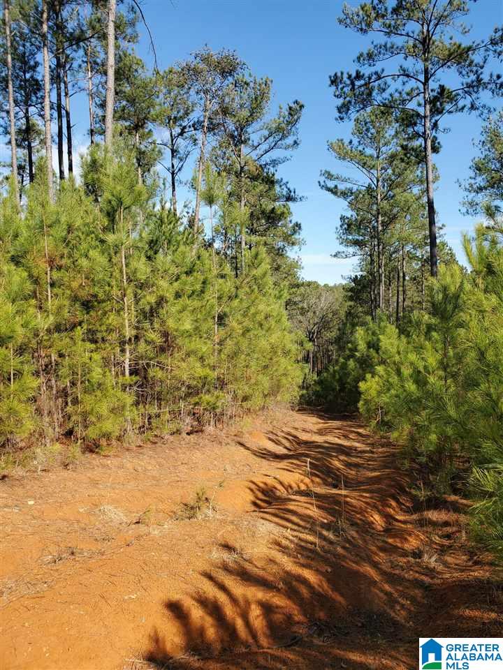 .2 Gould Road, Unit 3 Columbiana, AL 35051 - Photo 2 of 11