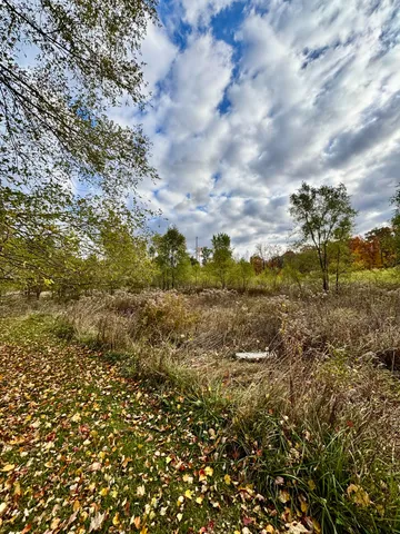 $293,000 | 6600 30 Mile Road, Albion, MI 49224