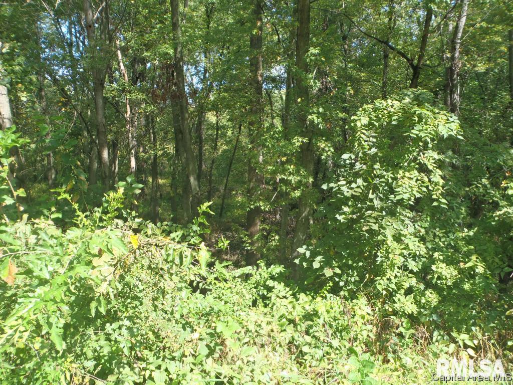 East Walnut Road Springfield, IL 62712 - Photo 2 of 10