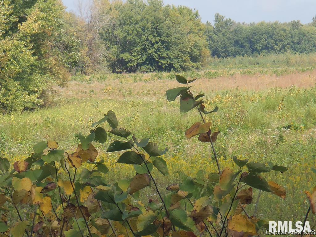 East Walnut Road Springfield, IL 62712 - Photo 3 of 10