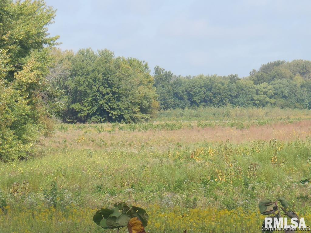 East Walnut Road Springfield, IL 62712 - Photo 4 of 10
