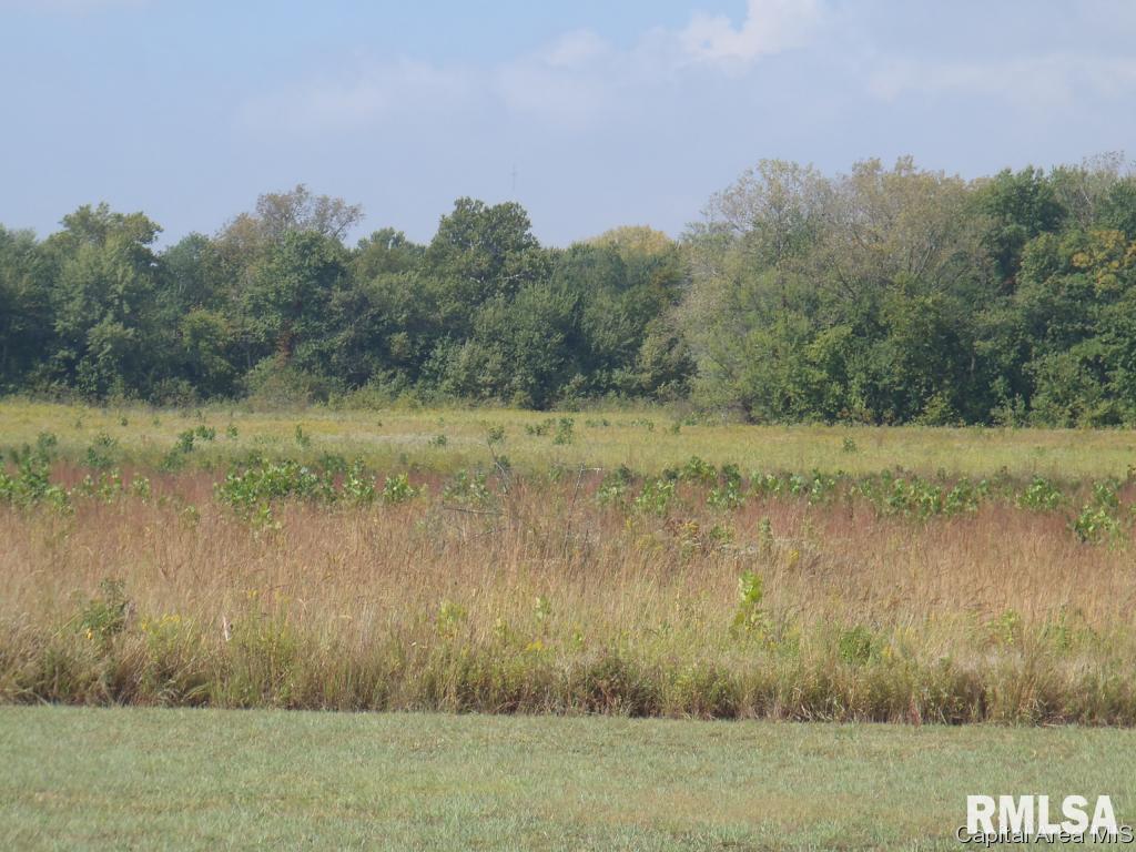 East Walnut Road Springfield, IL 62712 - Photo 5 of 10