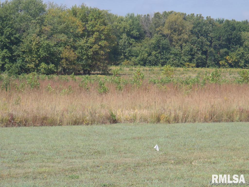East Walnut Road Springfield, IL 62712 - Photo 6 of 10