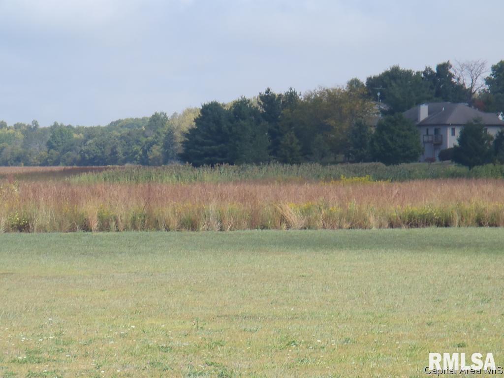 East Walnut Road Springfield, IL 62712 - Photo 7 of 10