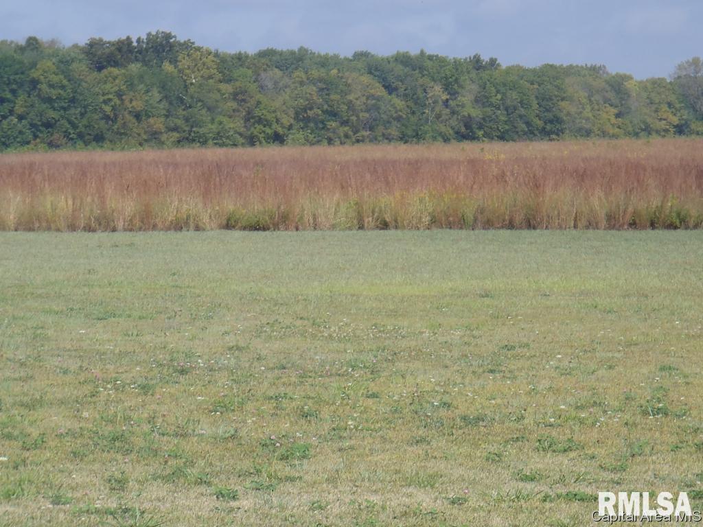 East Walnut Road Springfield, IL 62712 - Photo 8 of 10