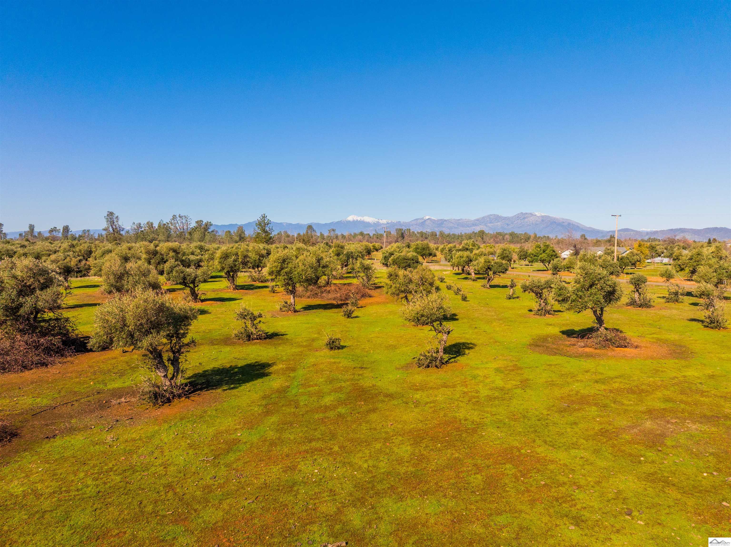 16897 Olinda Road Anderson, CA 96007 - Photo 11 of 16 Gallery Image 11
