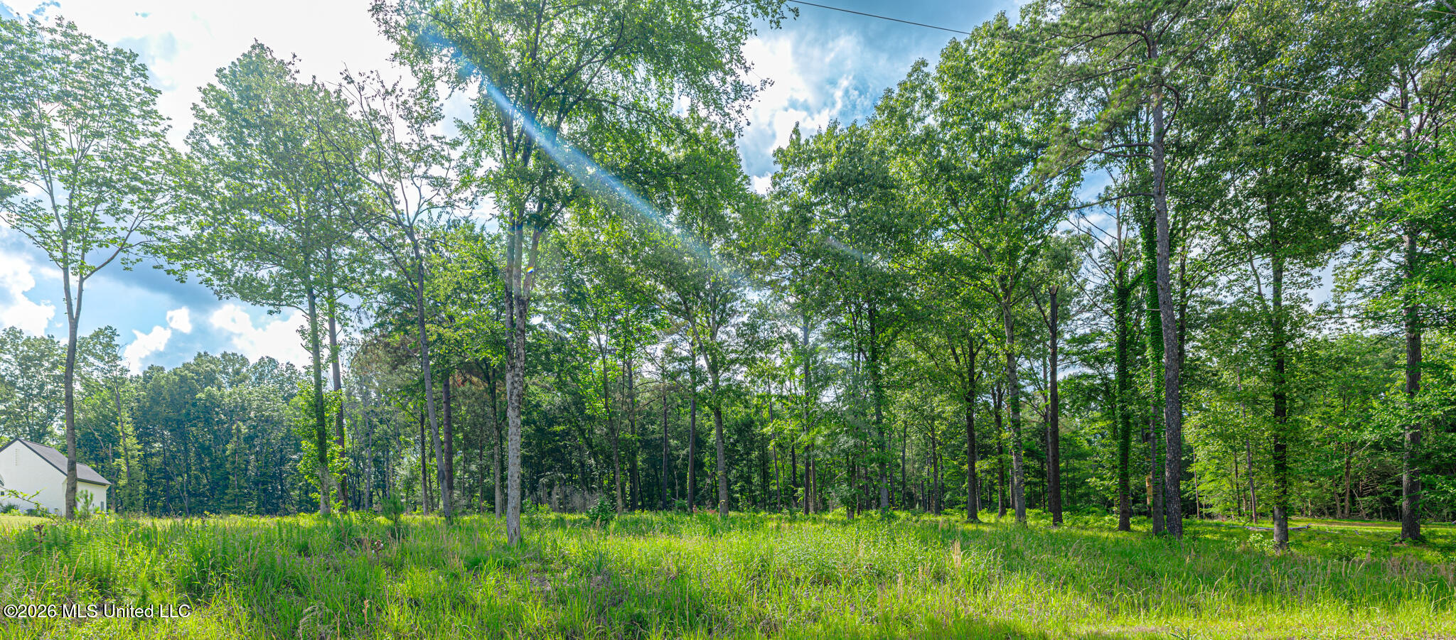 159 Hunter's Cove Madison, MS 39110 - Photo 7 of 20 1R4A6982