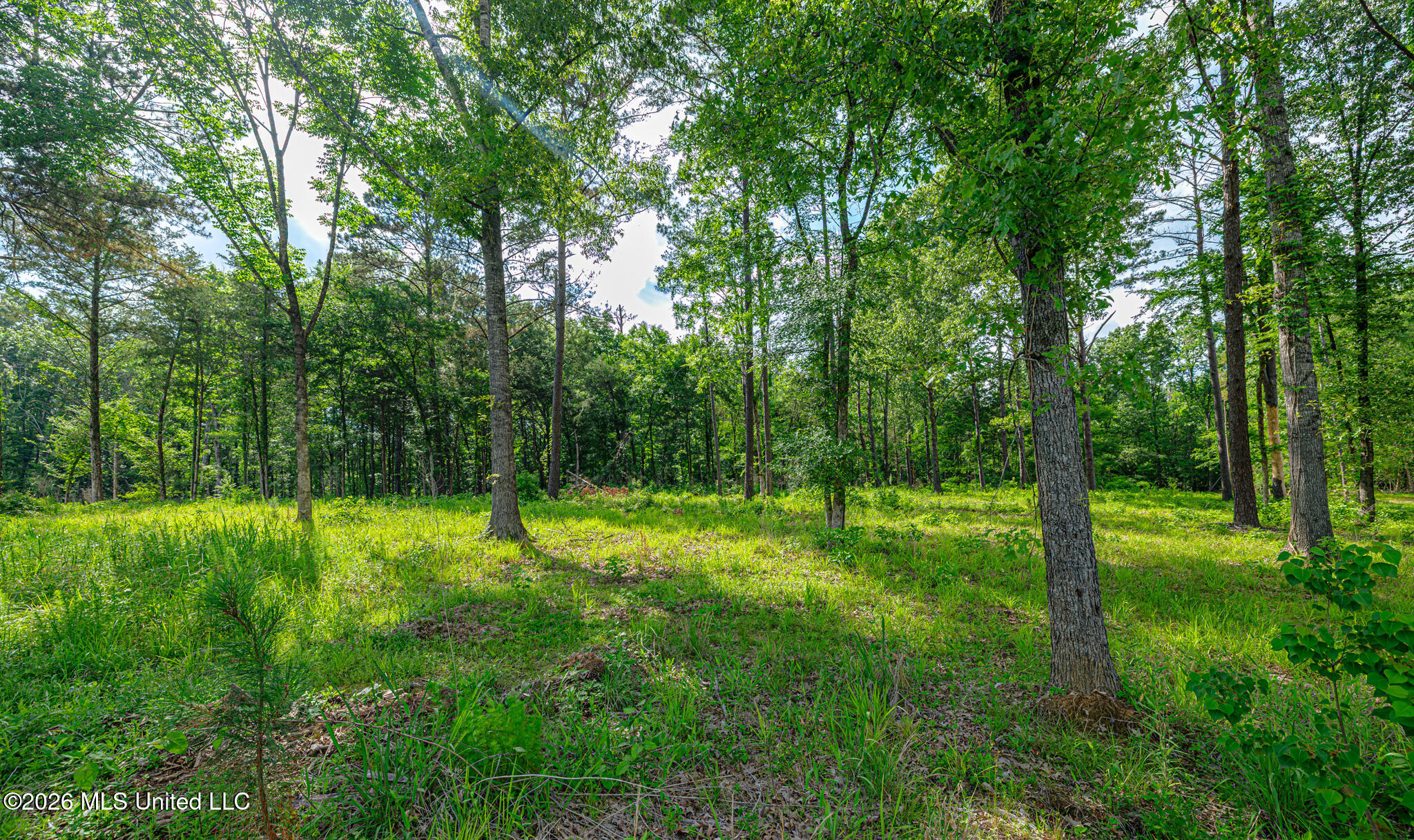 159 Hunter's Cove Madison, MS 39110 - Photo 8 of 20 1R4A6983