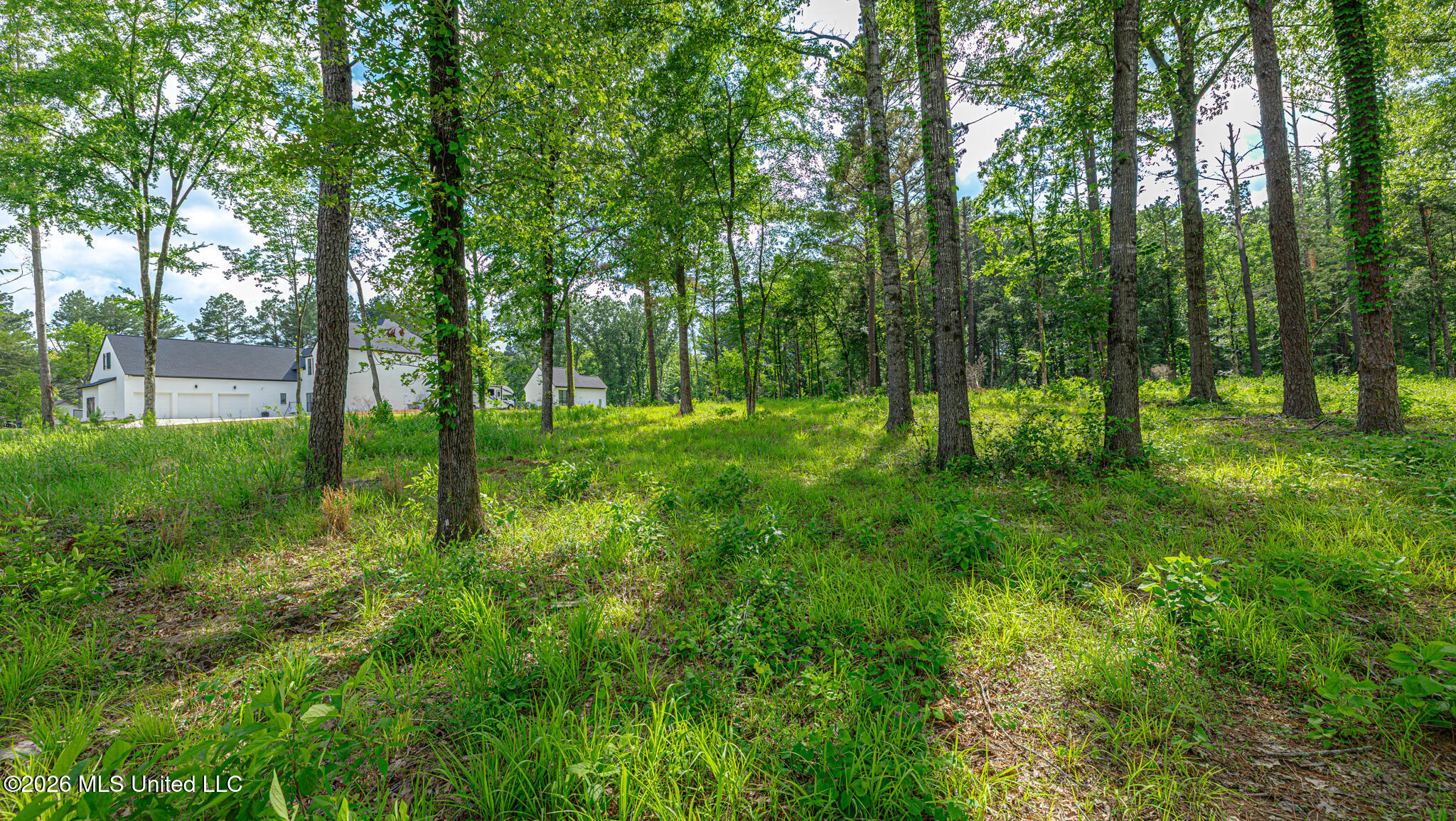 159 Hunter's Cove Madison, MS 39110 - Photo 9 of 20 1R4A6984