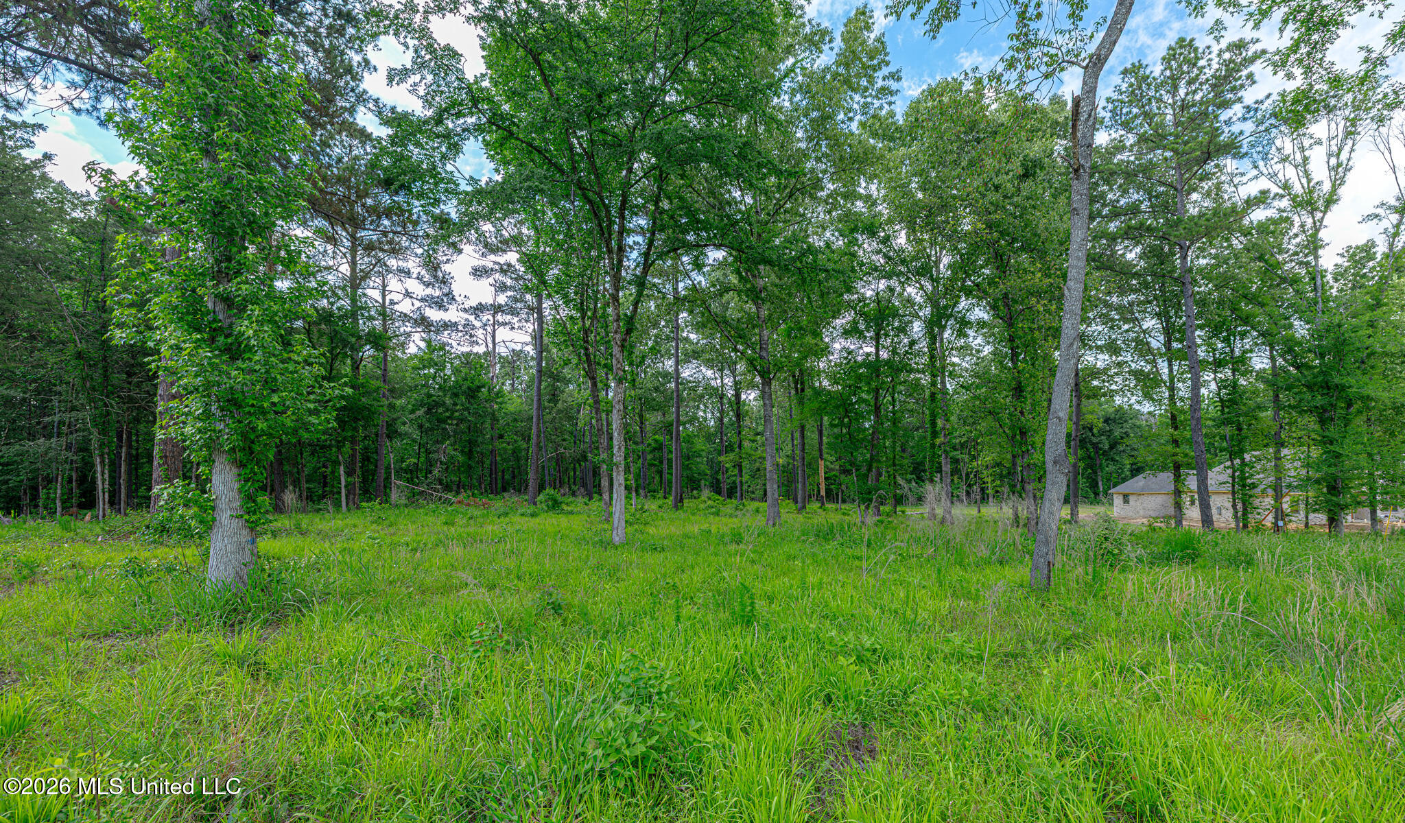 159 Hunter's Cove Madison, MS 39110 - Photo 10 of 20 1R4A6985