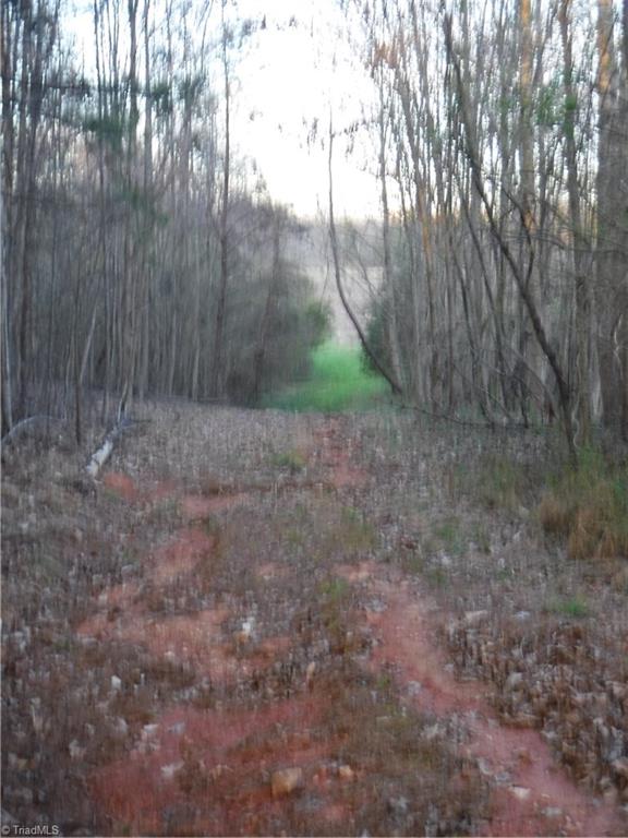 1295 East Old Phillips Road Pinnacle, NC 27043 - Photo 11 of 13