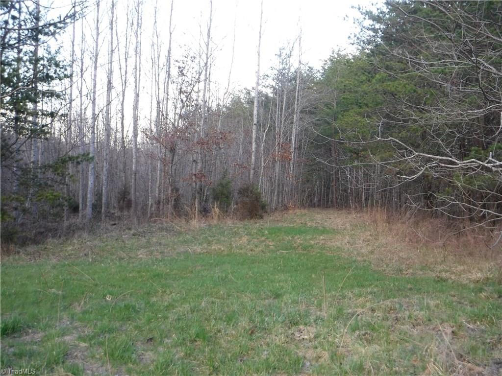 1295 East Old Phillips Road Pinnacle, NC 27043 - Photo 13 of 13
