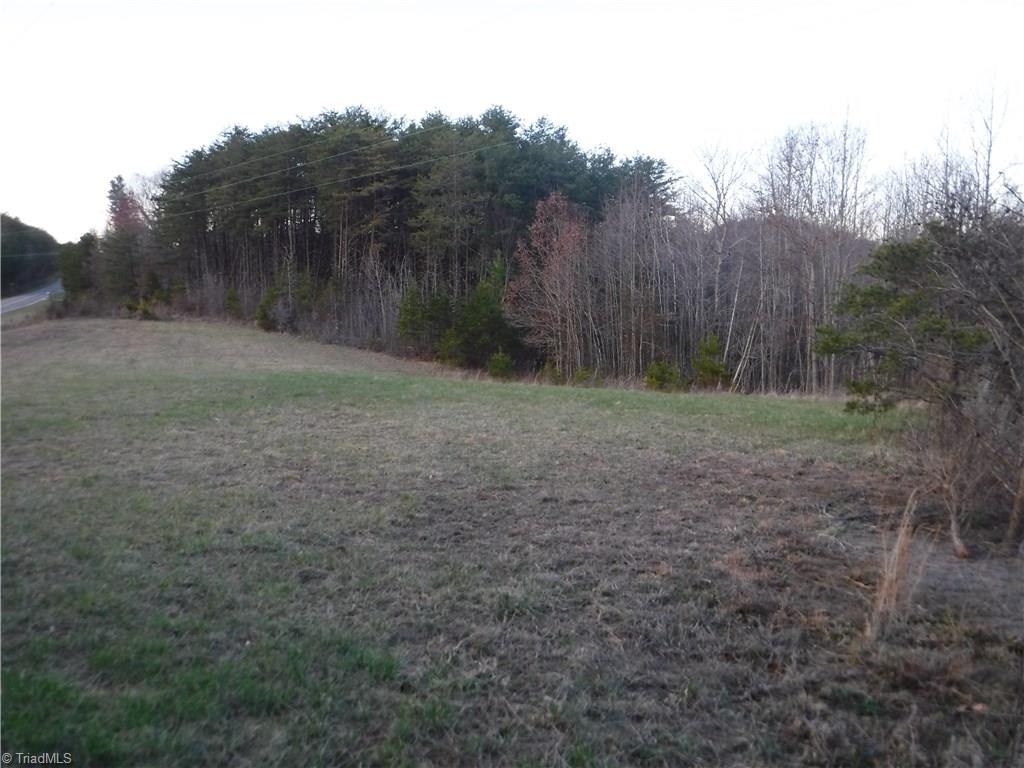 1295 East Old Phillips Road Pinnacle, NC 27043 - Photo 3 of 13