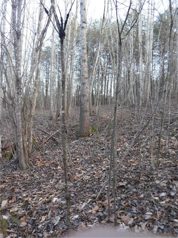 1295 East Old Phillips Road Pinnacle, NC 27043 - Photo 4 of 13