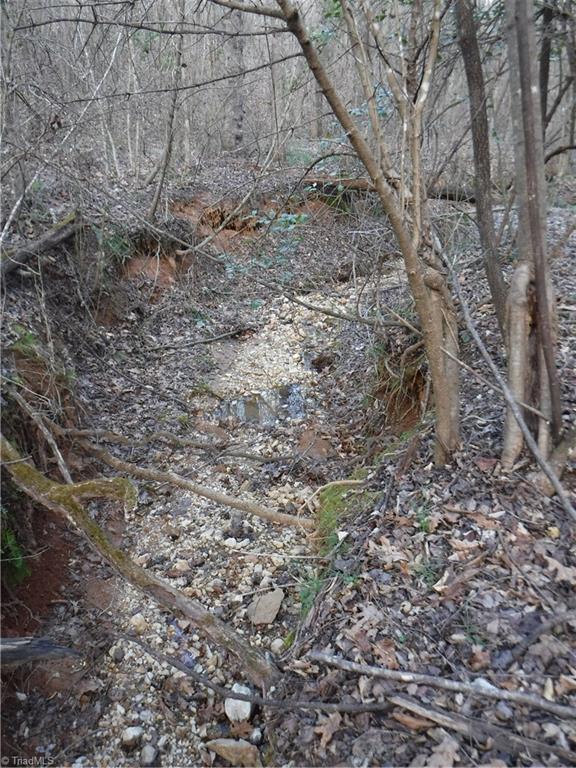 1295 East Old Phillips Road Pinnacle, NC 27043 - Photo 5 of 13