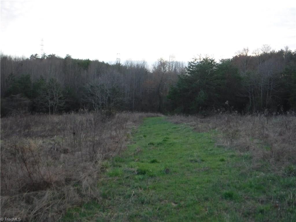 1295 East Old Phillips Road Pinnacle, NC 27043 - Photo 9 of 13