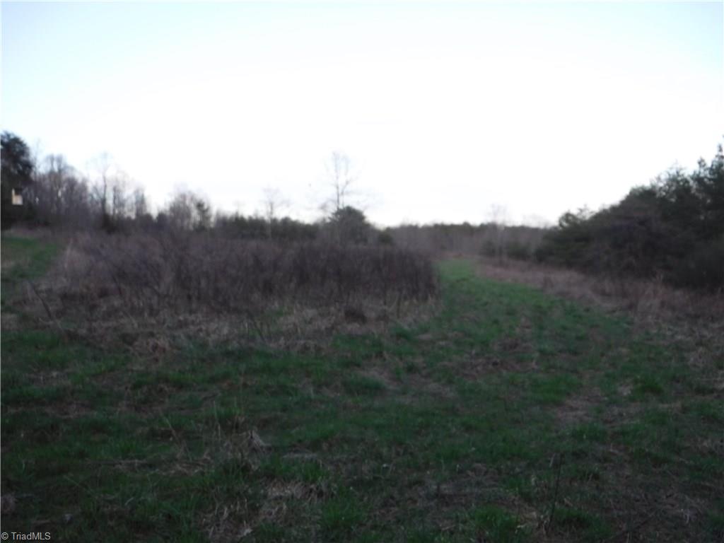 1295 East Old Phillips Road Pinnacle, NC 27043 - Photo 10 of 13