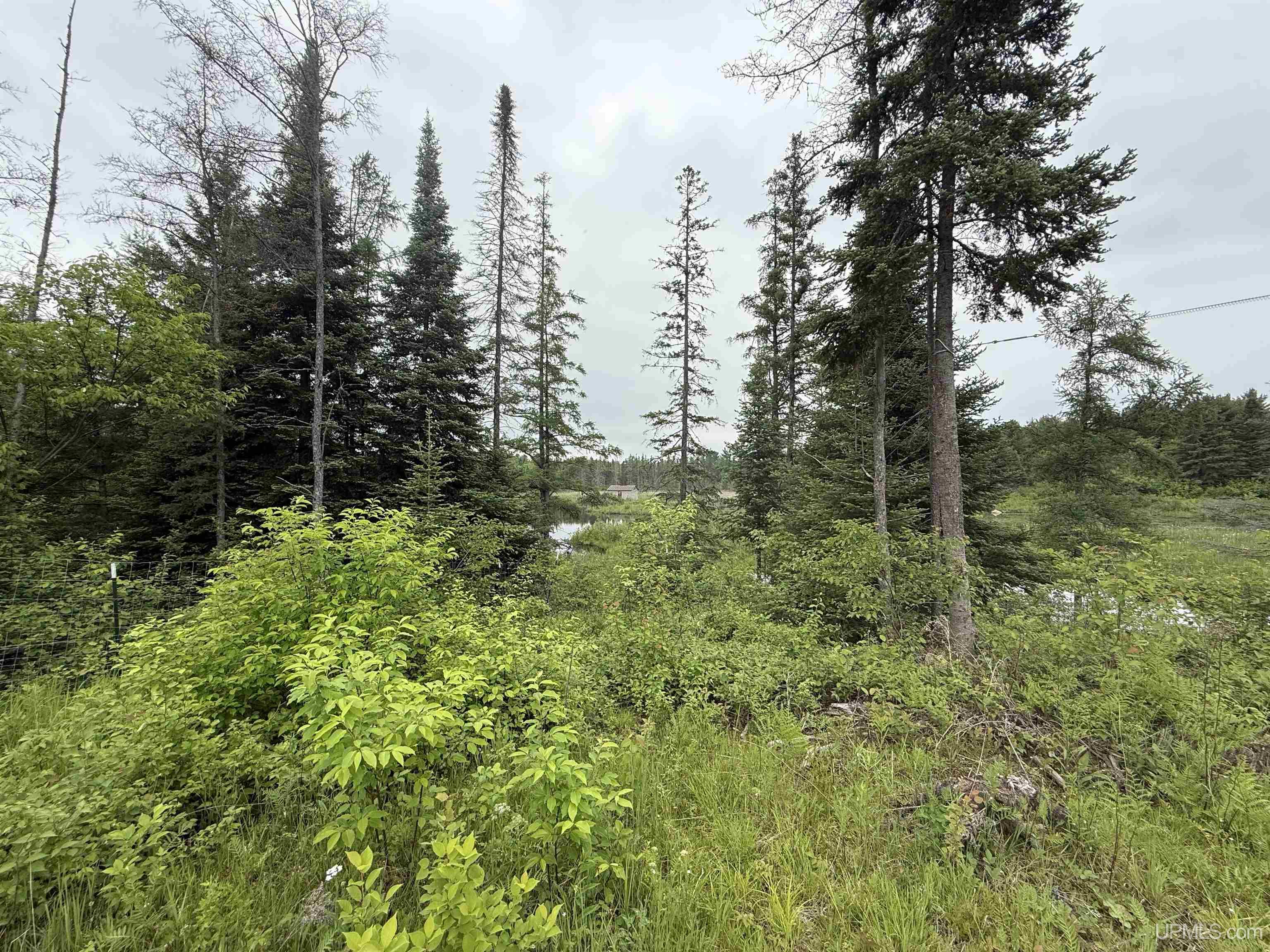 9535 Walstroms Road Republic, MI 49879 - Photo 20 of 37