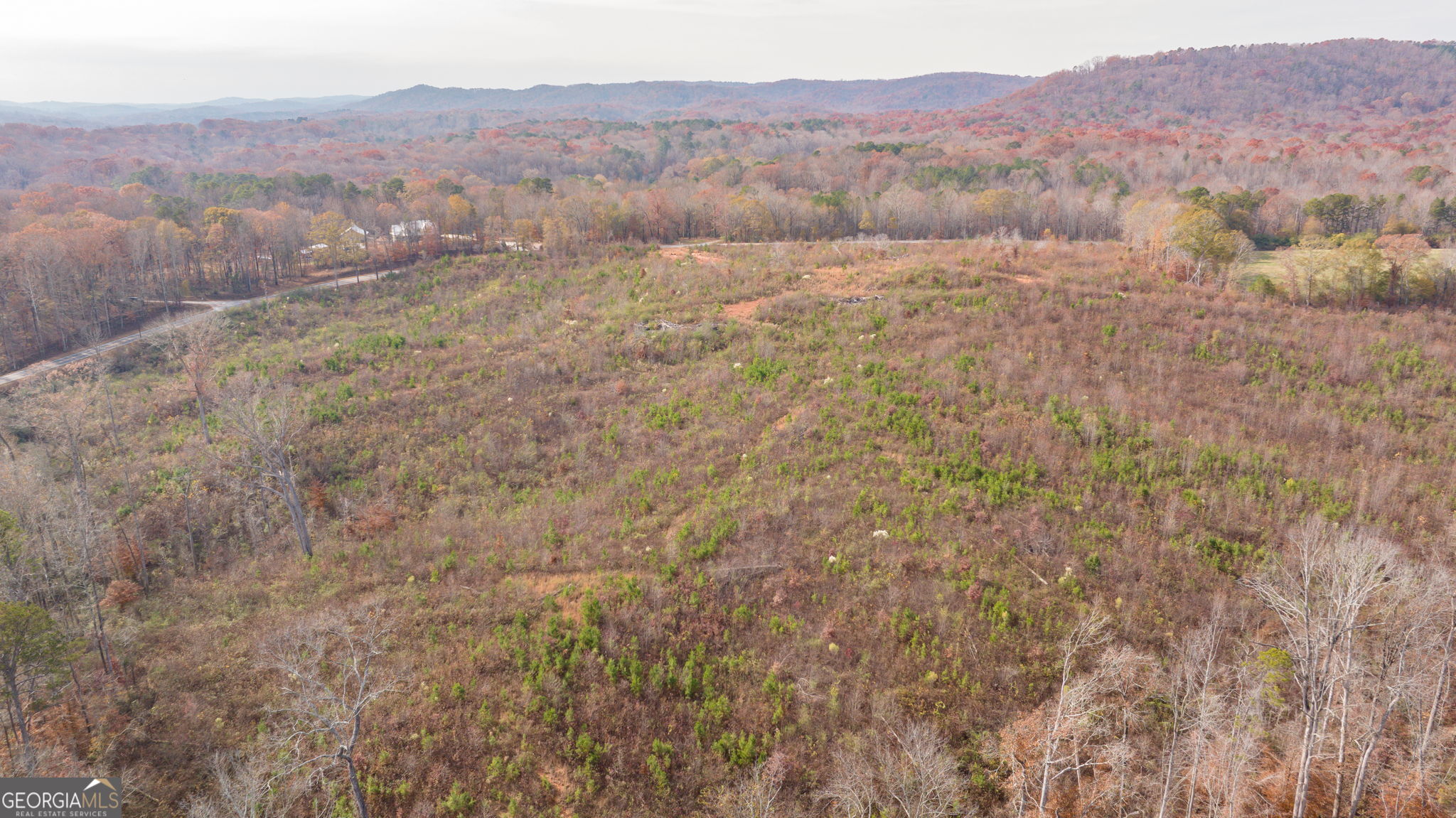 0 Apple Pie Ridge, Unit TRACT ONE Alto, GA 30510 - Photo 4 of 16