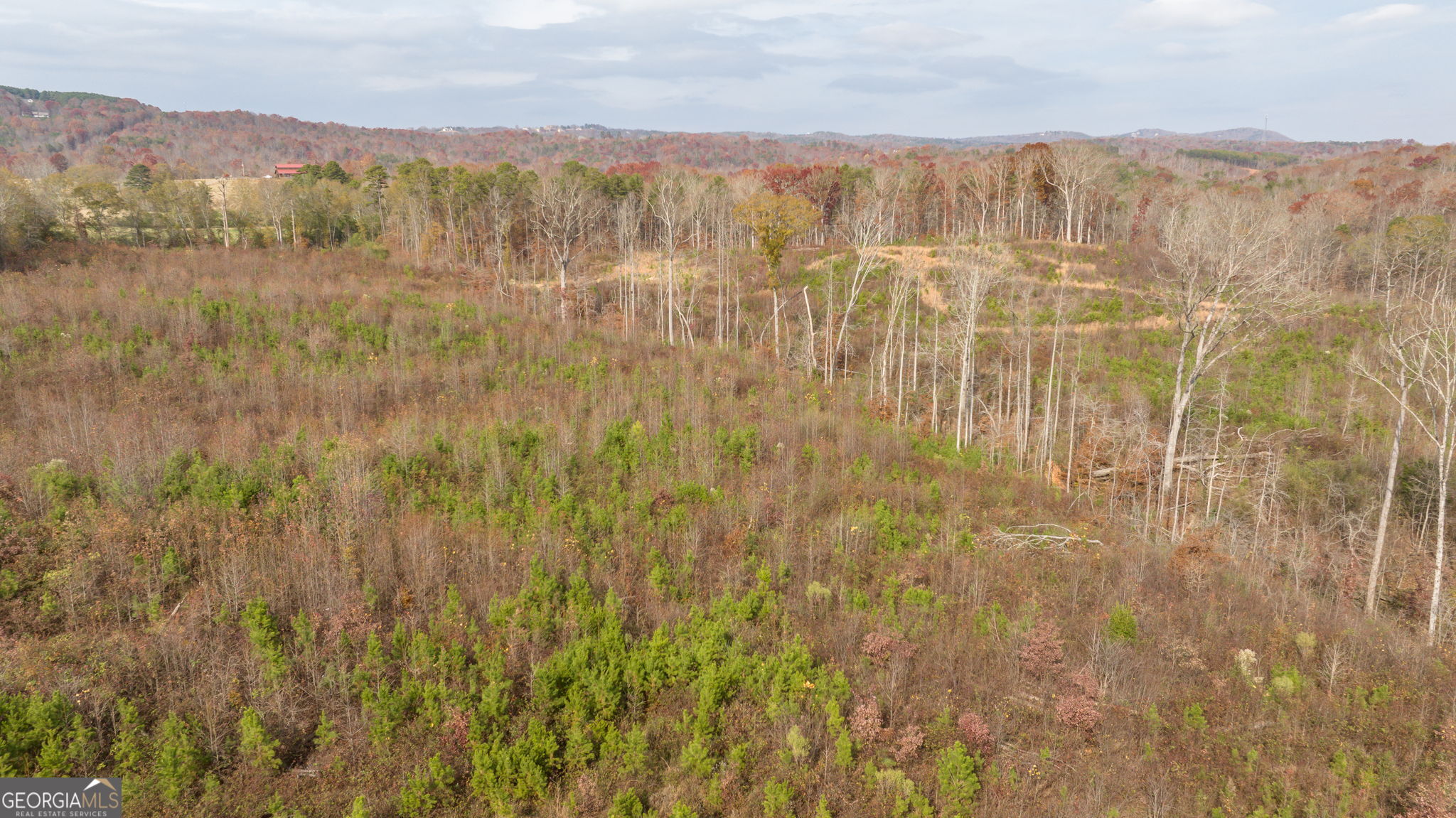 0 Apple Pie Ridge, Unit TRACT ONE Alto, GA 30510 - Photo 6 of 16