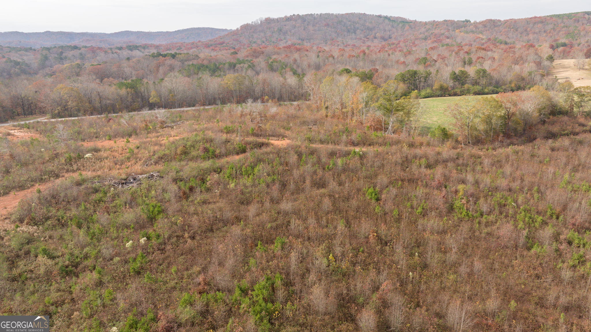 0 Apple Pie Ridge, Unit TRACT ONE Alto, GA 30510 - Photo 7 of 16
