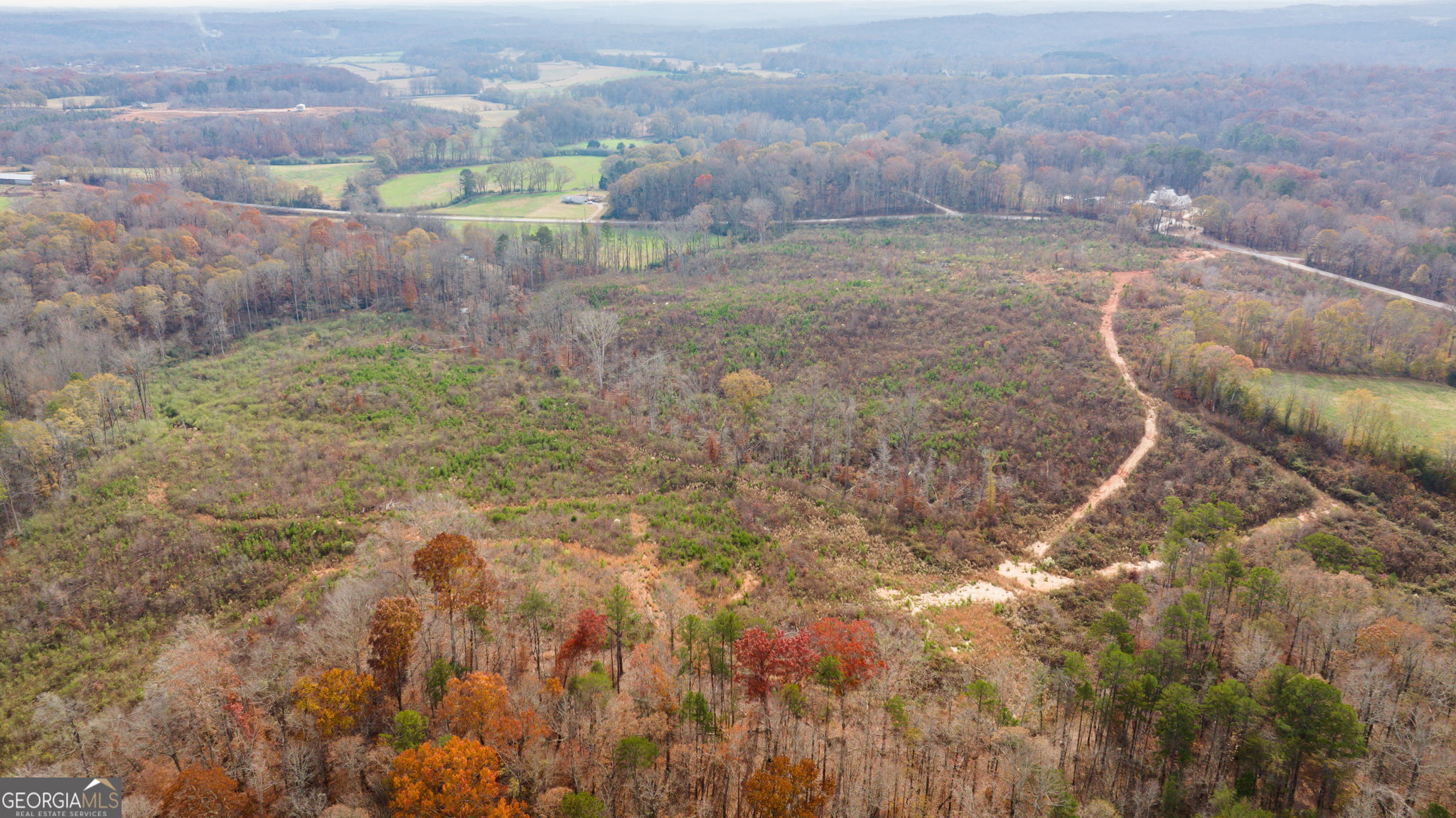 0 Apple Pie Ridge, Unit TRACT ONE Alto, GA 30510 - Photo 10 of 16