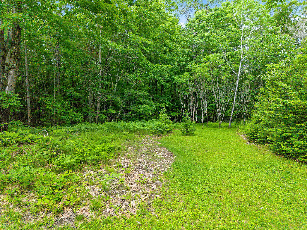 133 Glenn Harris Road New Sharon, ME 04955 - Photo 34 of 47