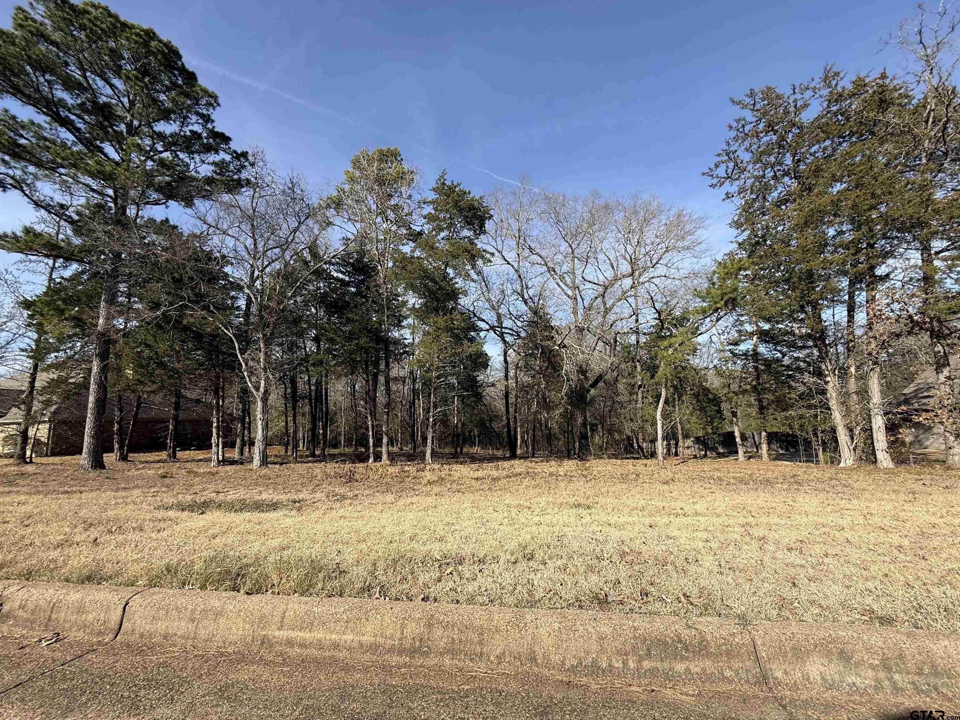 290 Oak Grove Way Bullard, TX 75757 - Photo 2 of 8 a house view with a outdoor space