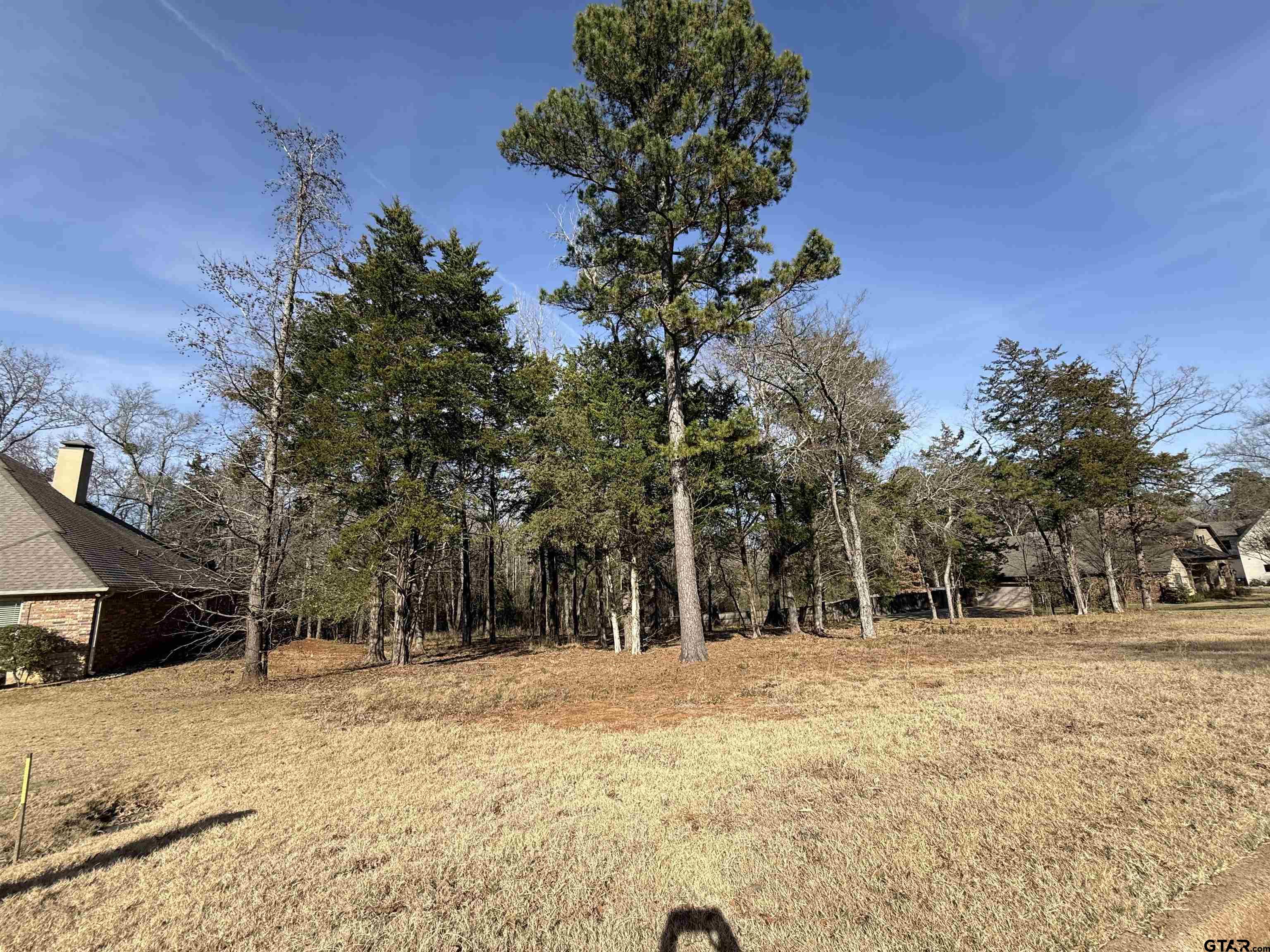 290 Oak Grove Way Bullard, TX 75757 - Photo 3 of 8 a street view covered with snow
