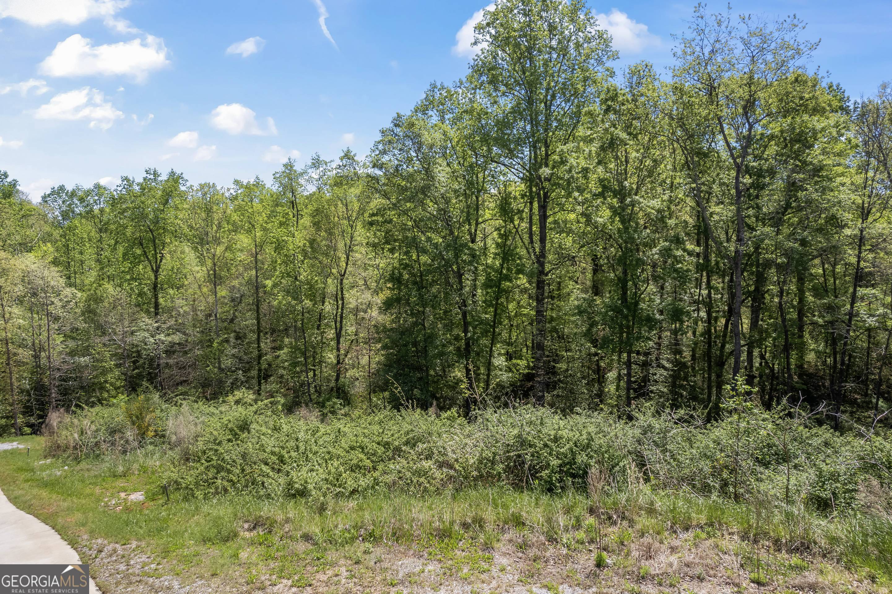 253 Lacount Lane Clarkesville, GA 30523 - Photo 12 of 18 a view of a green field