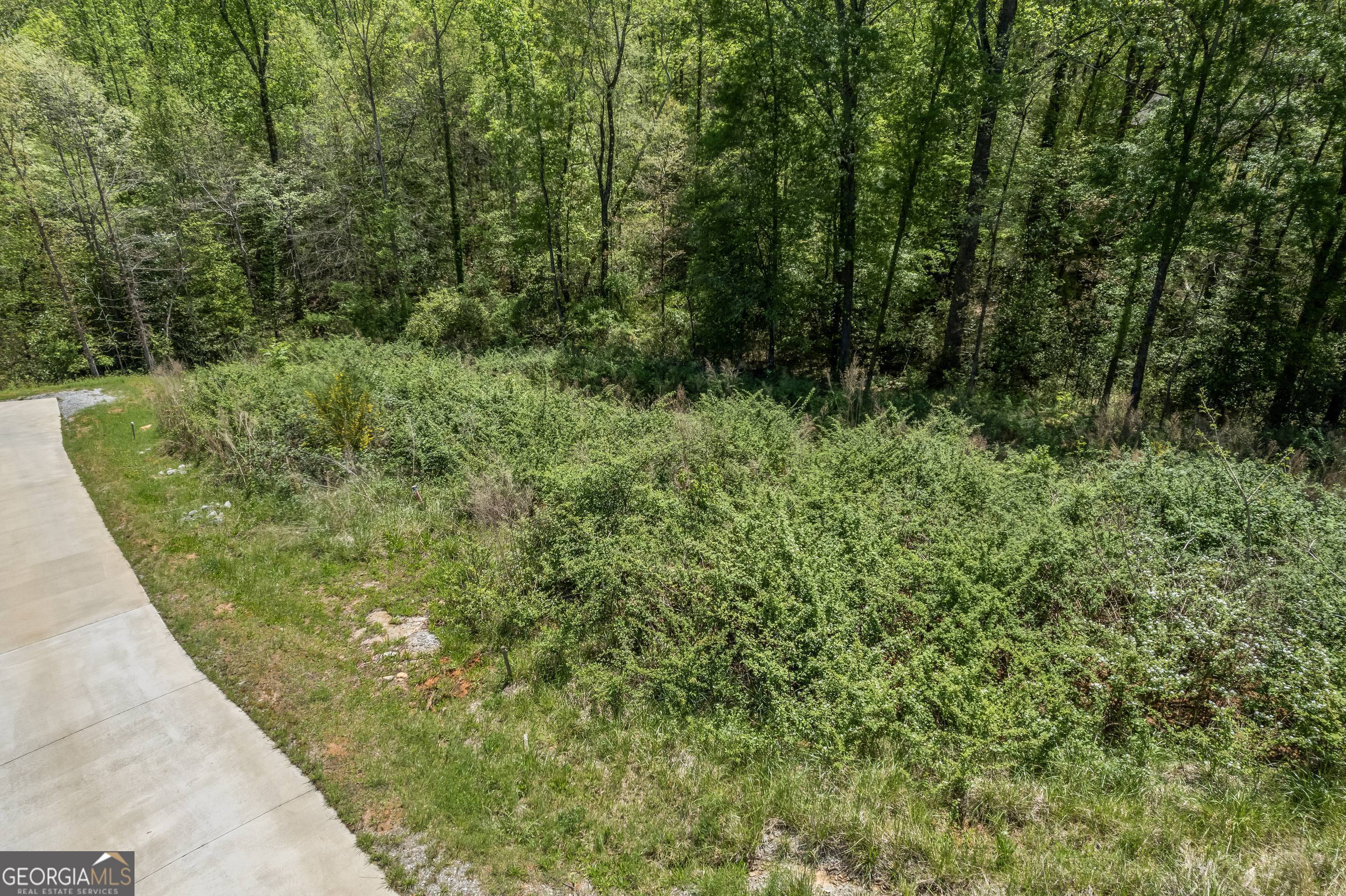 253 Lacount Lane Clarkesville, GA 30523 - Photo 14 of 18 a view of a yard with plants