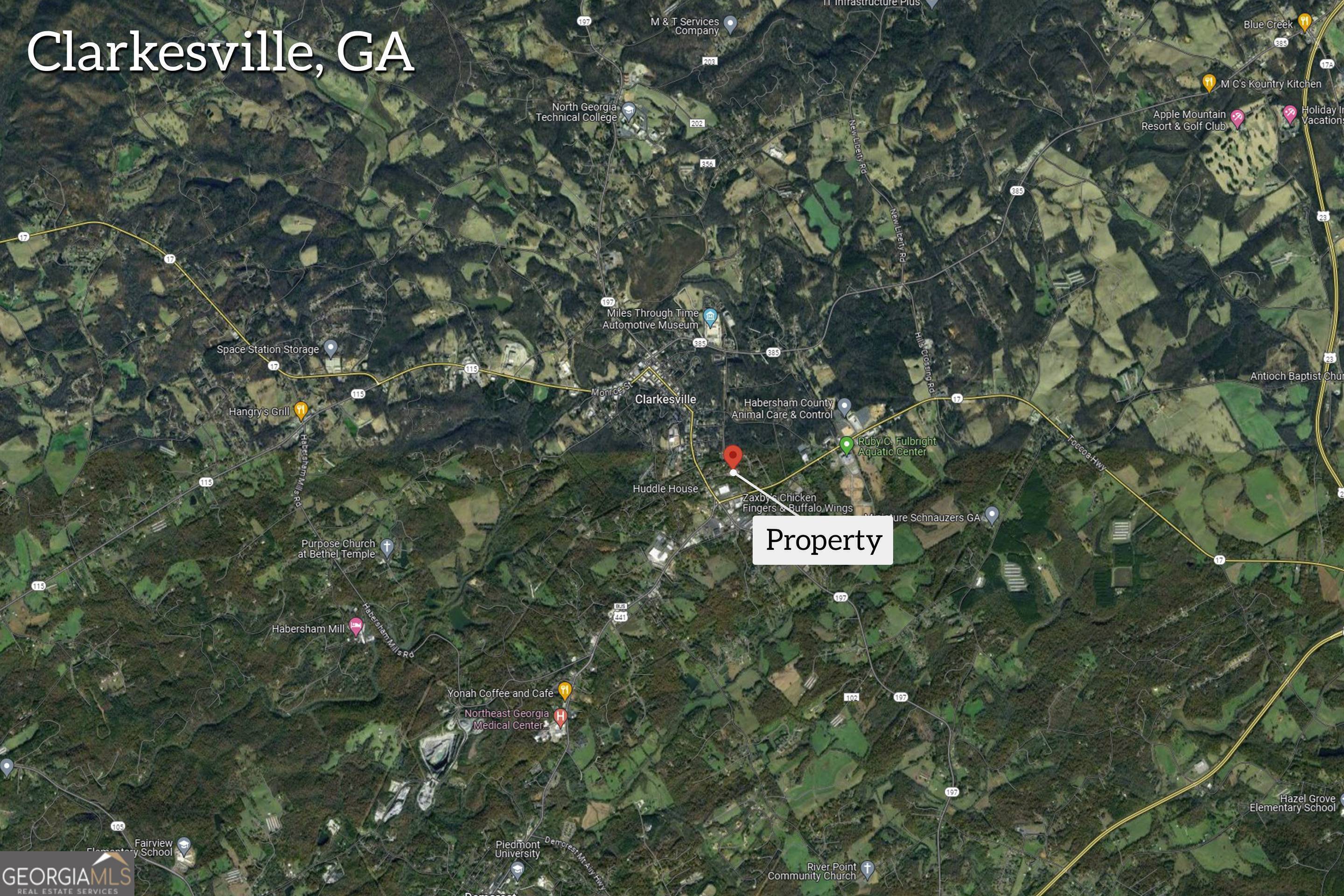 253 Lacount Lane Clarkesville, GA 30523 - Photo 3 of 18 a sign that is sitting on a tree