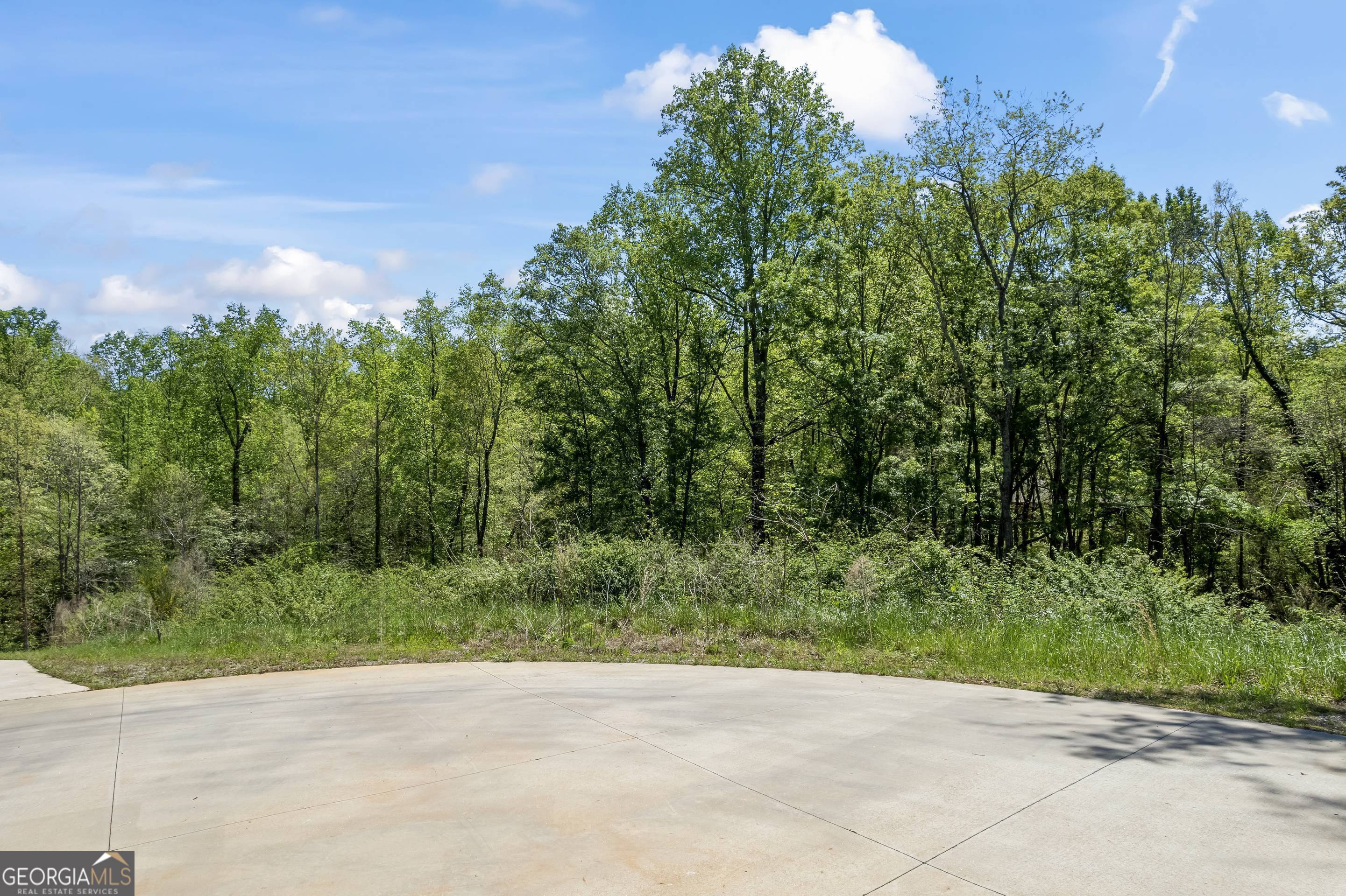 253 Lacount Lane Clarkesville, GA 30523 - Photo 7 of 18 a view of a yard with plants and a trees