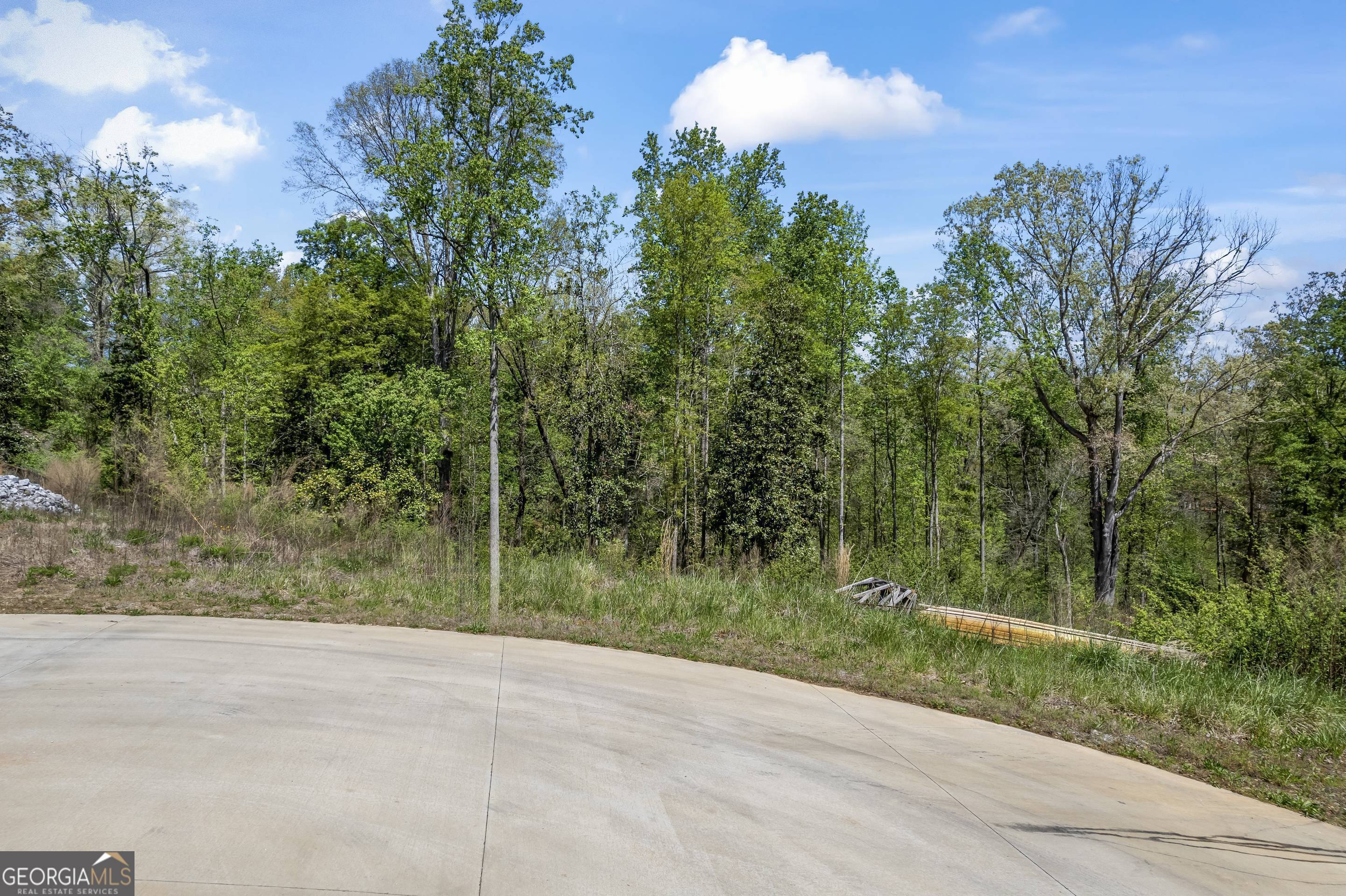 253 Lacount Lane Clarkesville, GA 30523 - Photo 8 of 18