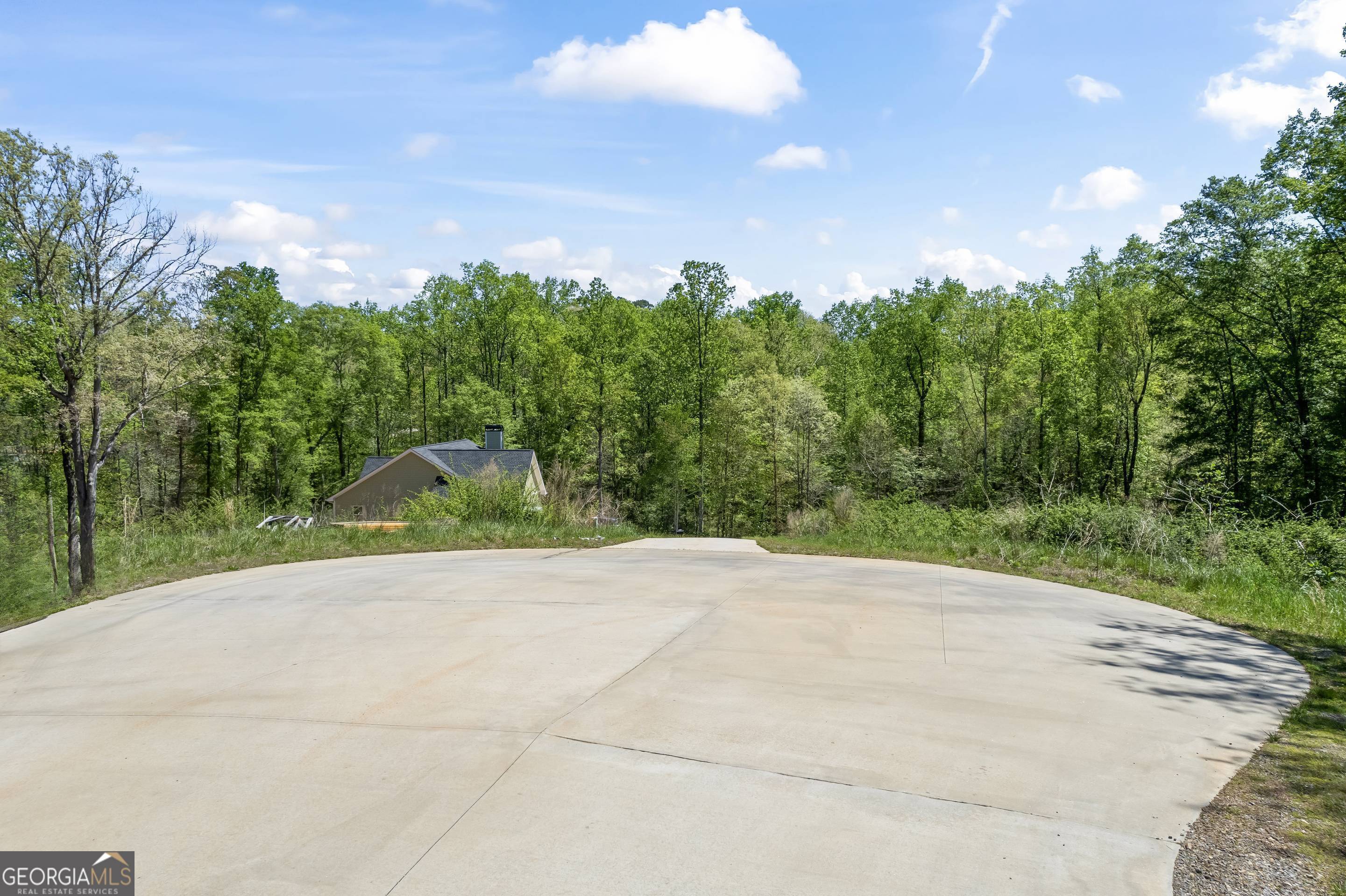 253 Lacount Lane Clarkesville, GA 30523 - Photo 9 of 18 a backyard of a house with lots of green space and plants