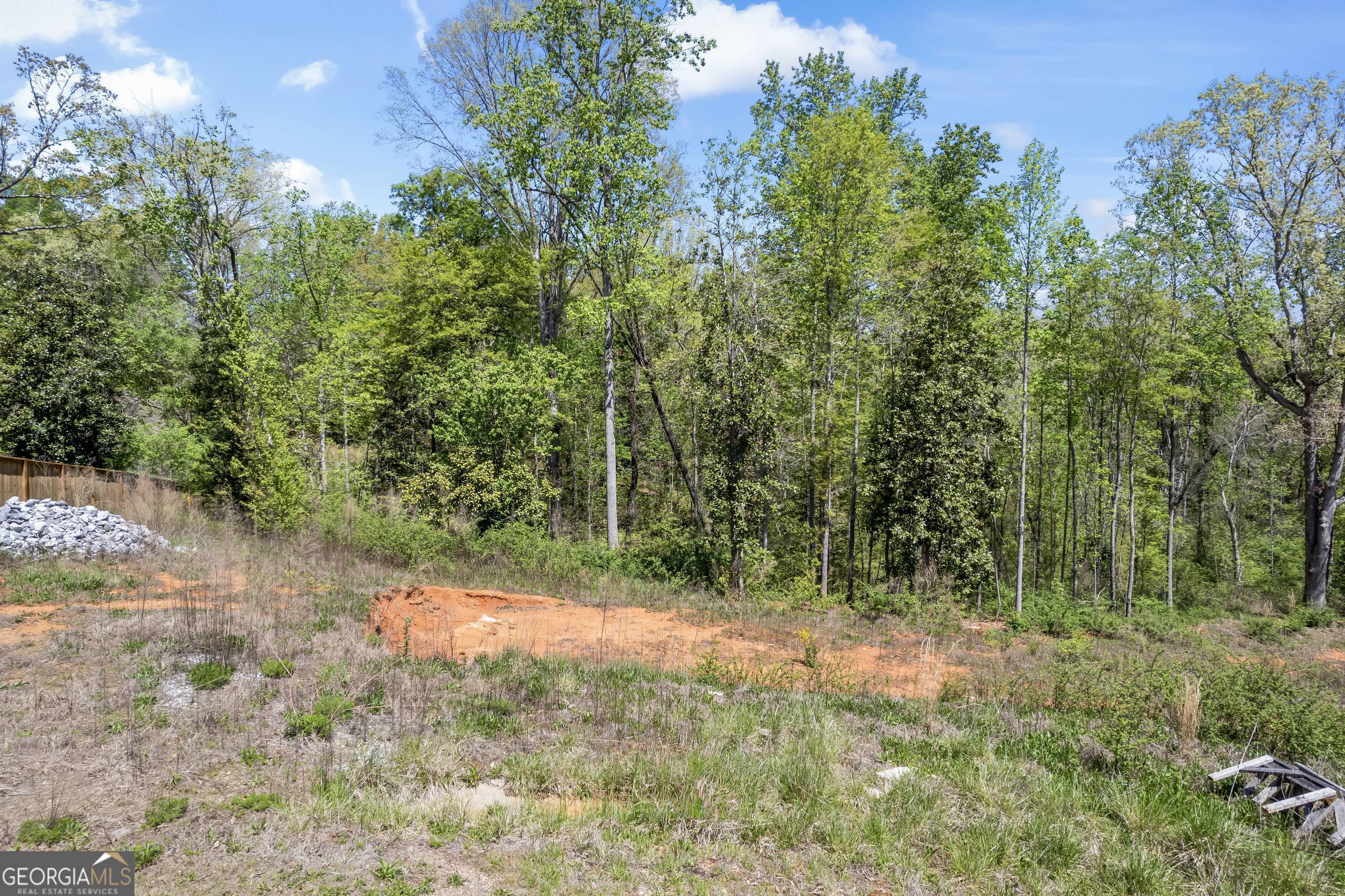 253 Lacount Lane Clarkesville, GA 30523 - Photo 10 of 18 a view of a yard with a tree