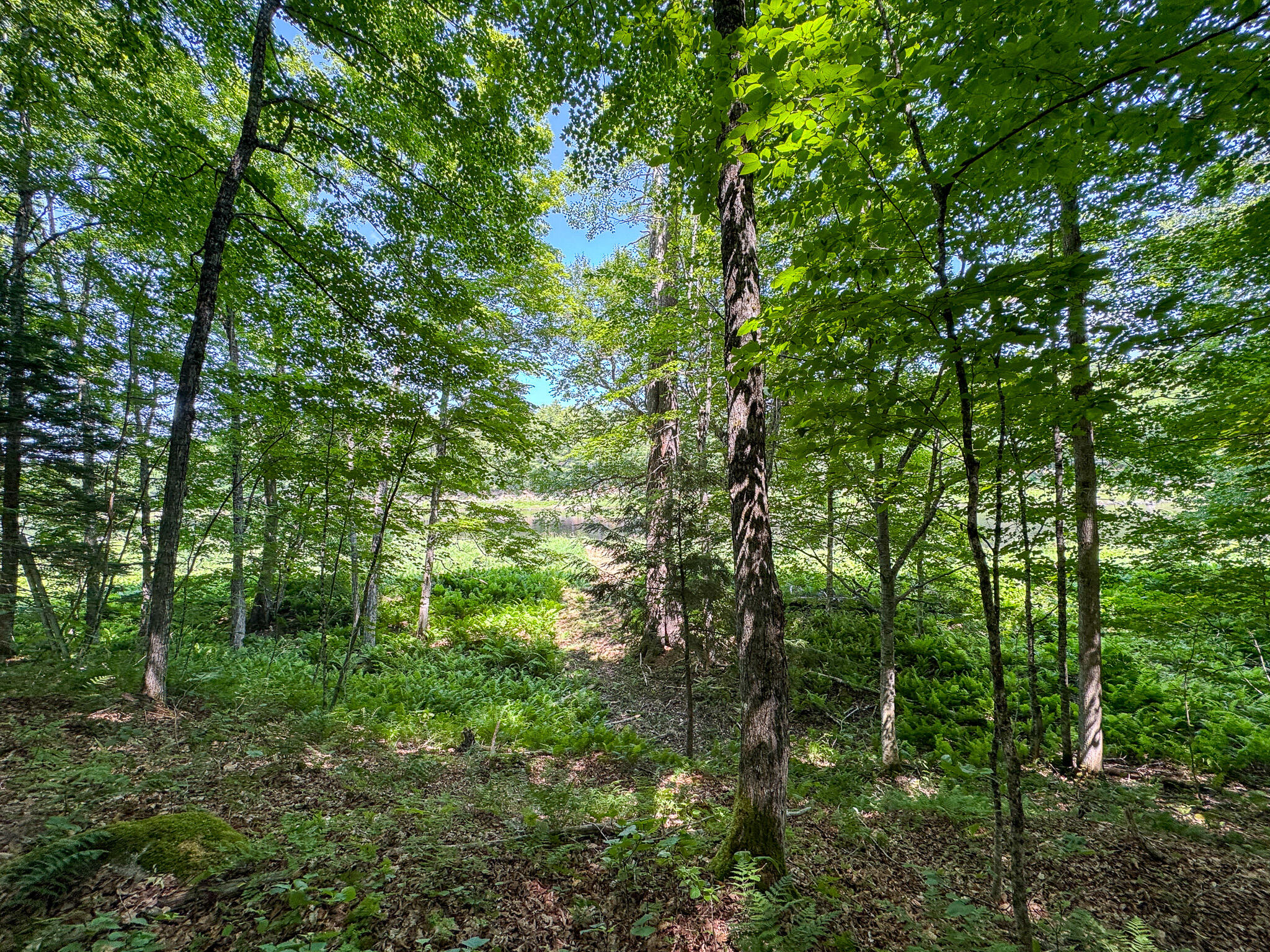 50 Wilderness Park Road Winn, ME 04495 - Photo 26 of 30 IMG_6813