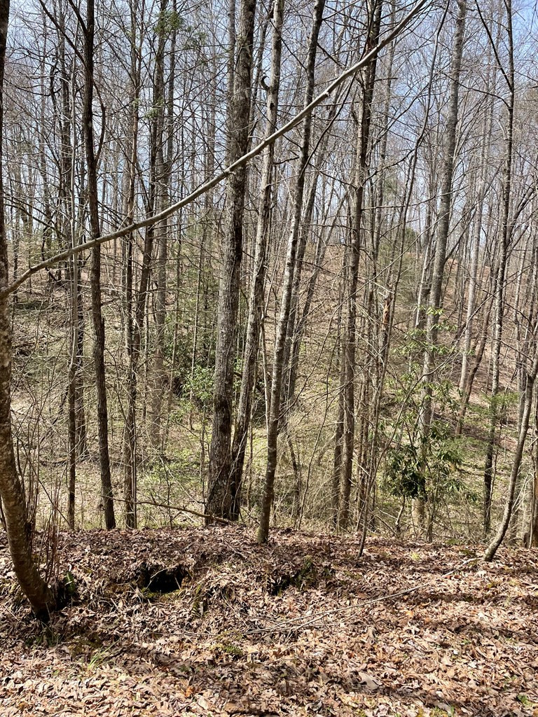 0 Hidden Lakes Road Topton, NC 28781 - Photo 3 of 14