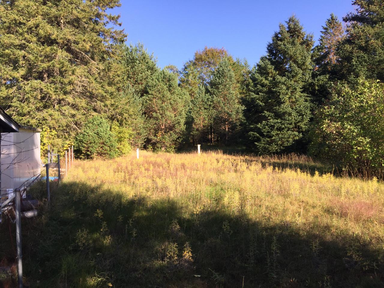 N10234 Bay Mill Road Tomahawk, WI 54487 - Photo 14 of 20 Gallery Image 14