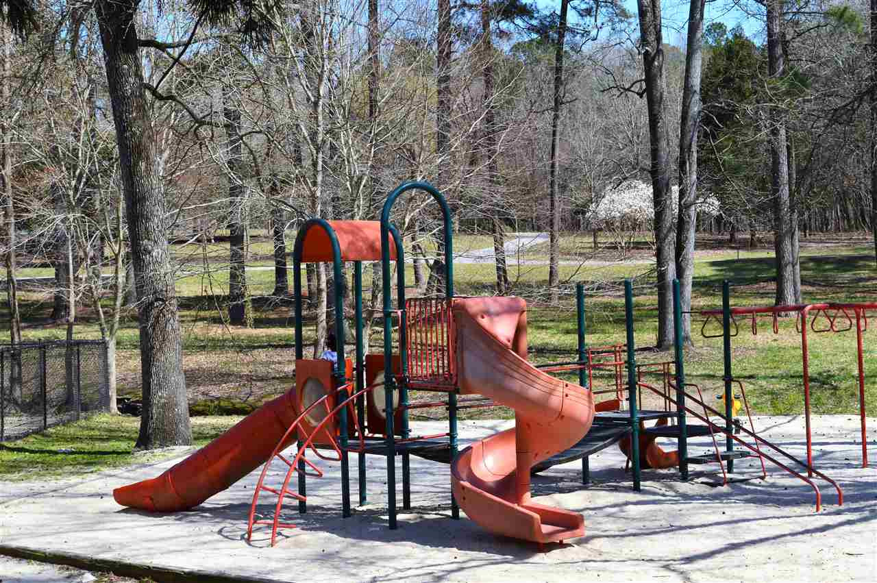 709 Friar Tuck Road Raleigh, NC 27610 - Photo 29 of 30 Worthdale Park Playground