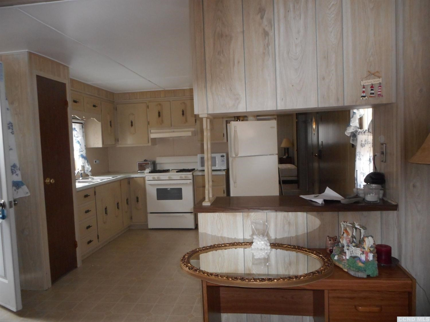 1019 Beech Ridge Road Prattsville, NY 12468 - Photo 3 of 10 Photo 3