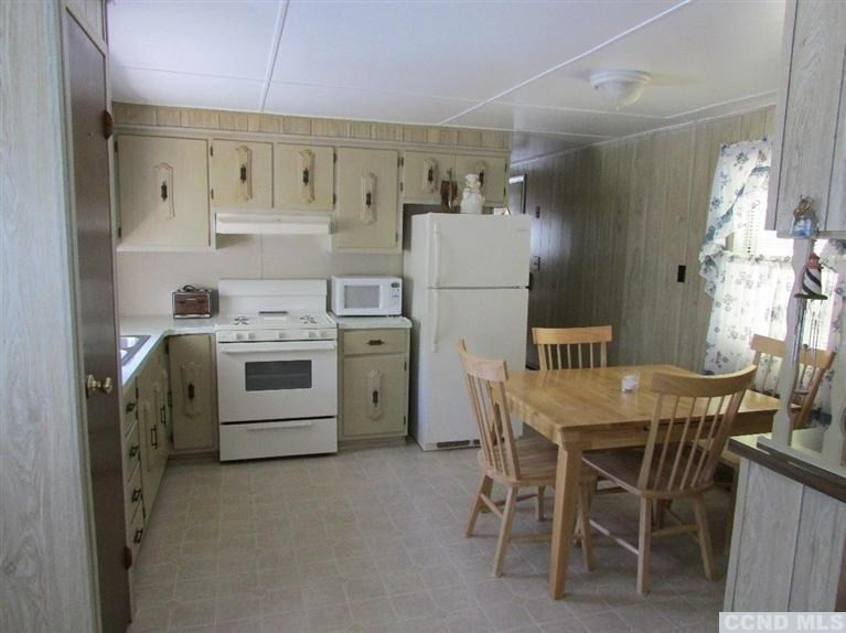 1019 Beech Ridge Road Prattsville, NY 12468 - Photo 4 of 10 Photo 4