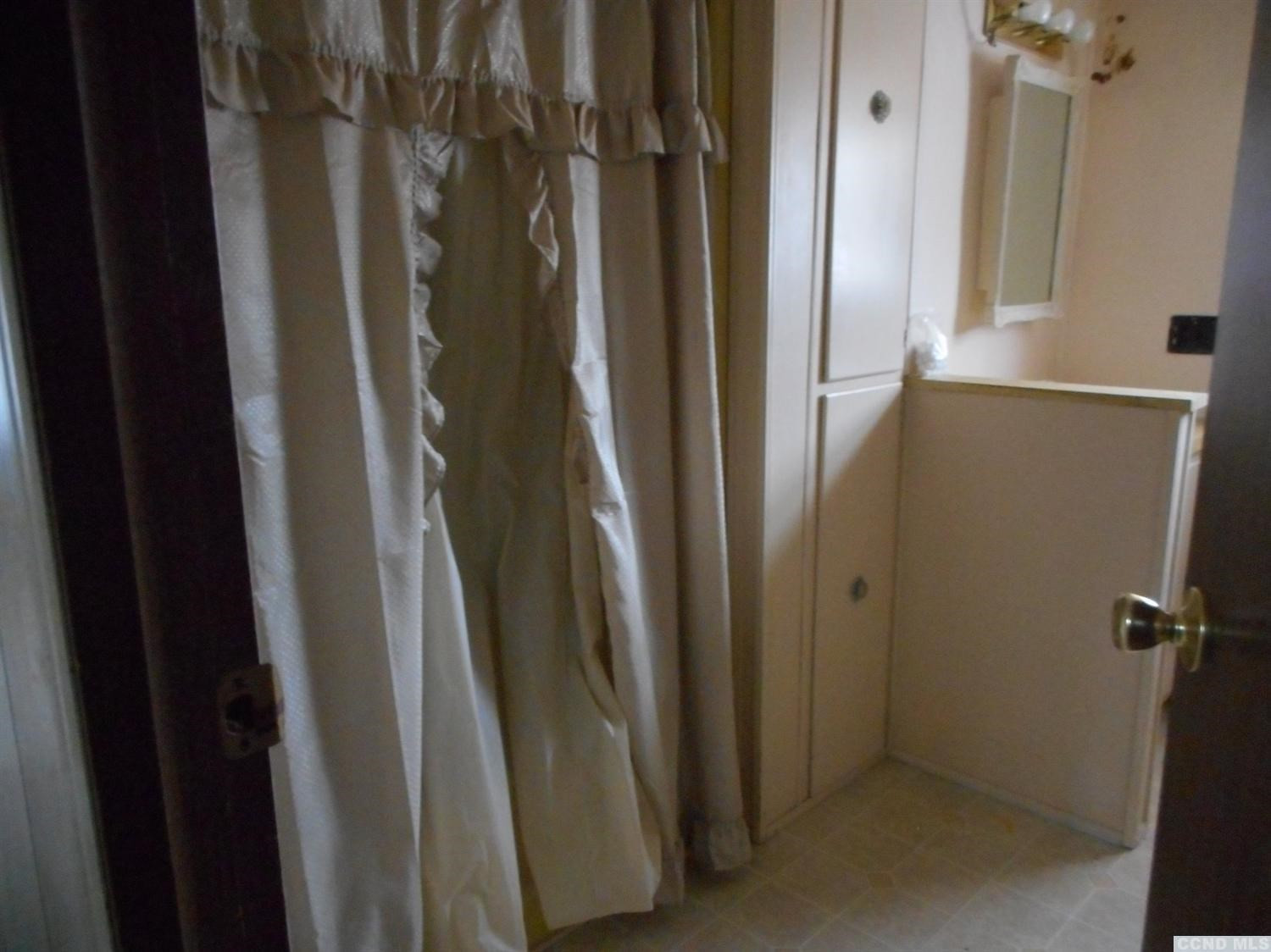 1019 Beech Ridge Road Prattsville, NY 12468 - Photo 7 of 10 Photo 7
