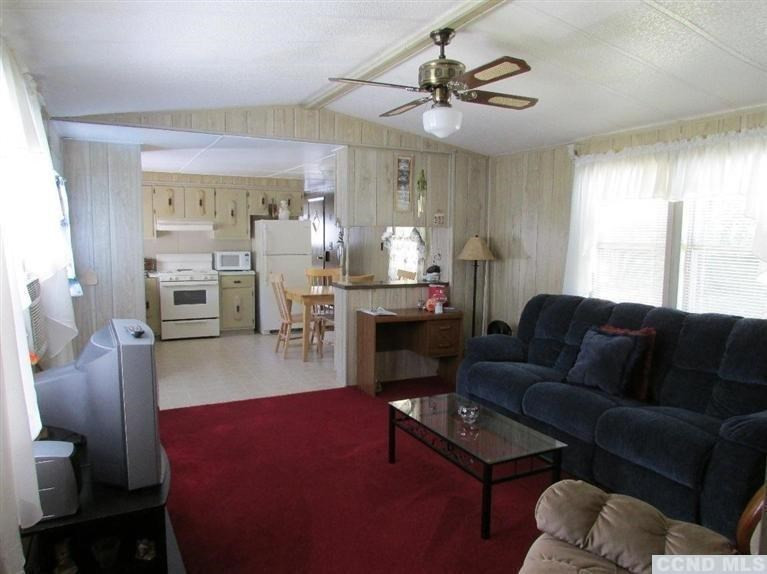 1019 Beech Ridge Road Prattsville, NY 12468 - Photo 9 of 10 Photo 9