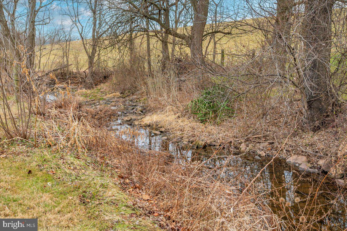 11646 Creagerstown Road Woodsboro, MD 21798 - Photo 49 of 62 Stream